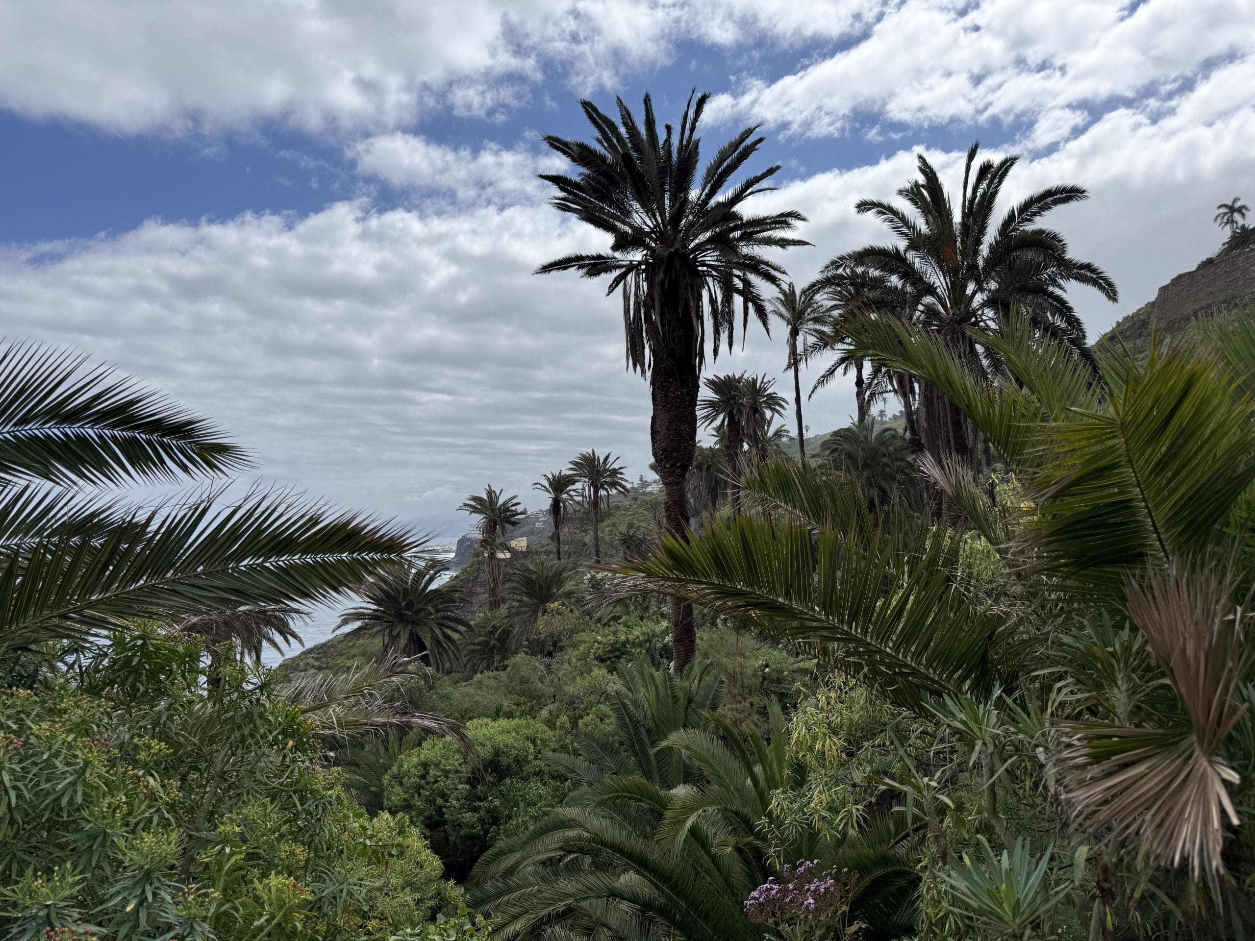 Les spots secrets de Tenerife