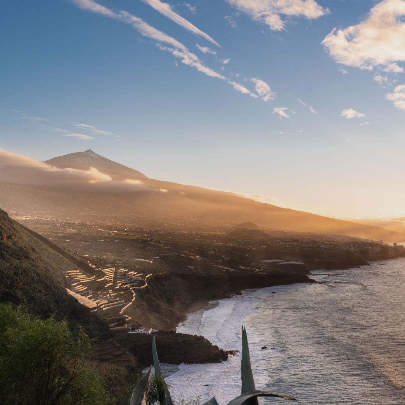 5 raisons de découvrir Tenerife