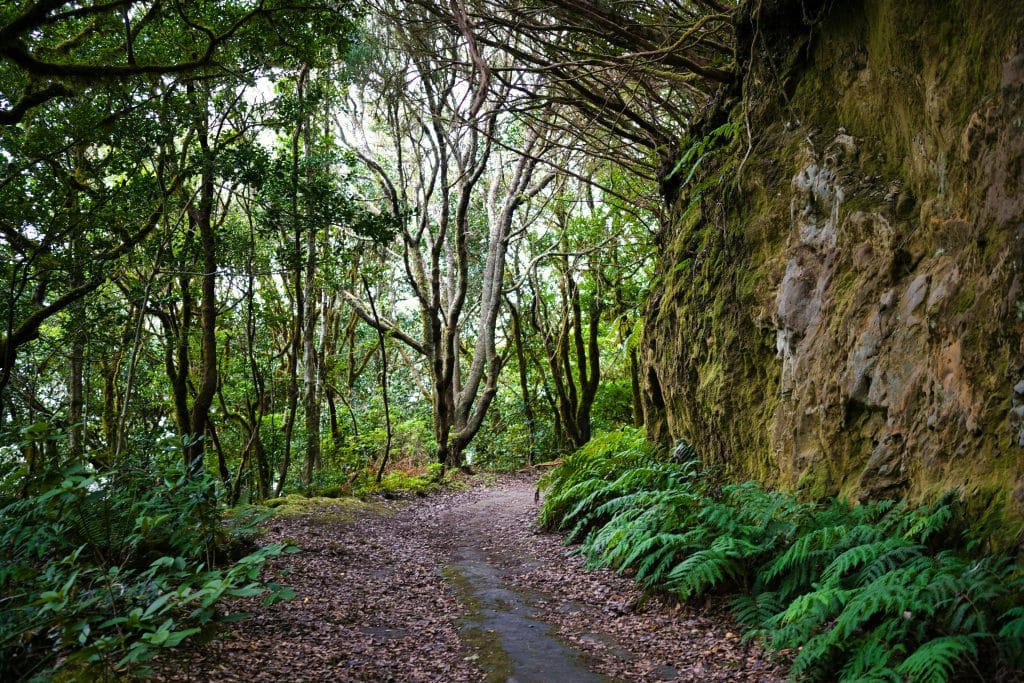 Le parc rural d'Anaga à Tenerife