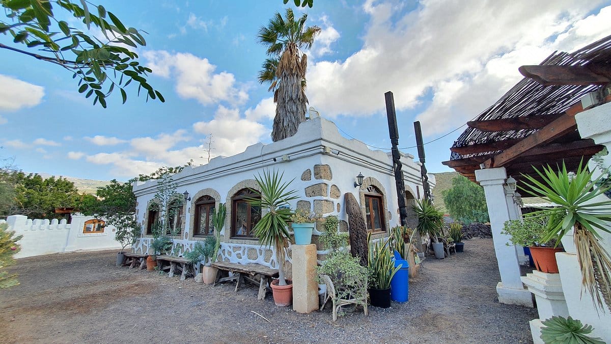 Camel Park à Tenerife : balade en dromadaire à La Camella