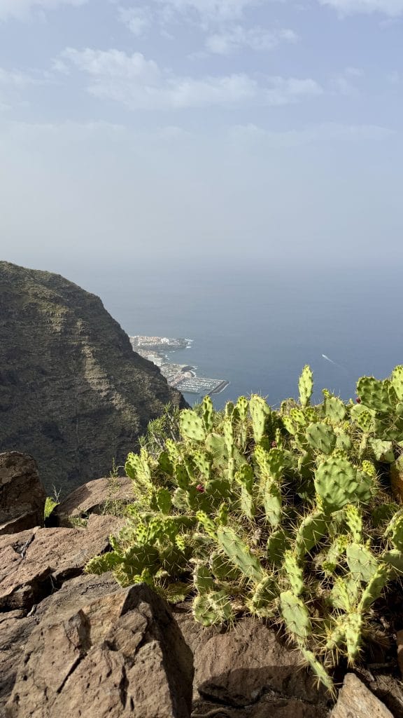 Vue sur l'océan et le port de Los Gigantes depuis la randonnée
