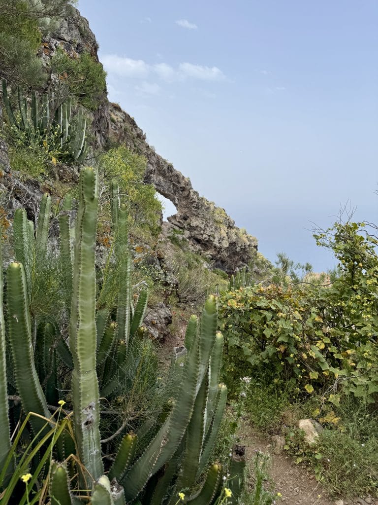 L'arche naturelle d'El Agujero encadrée par la végétation