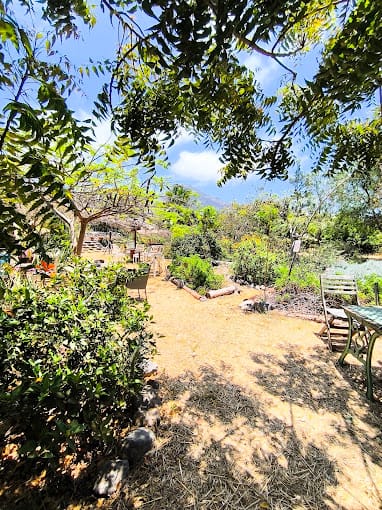 Chemin dans le jardin naturel du restaurant La Tajea, à Adeje, Tenerife
