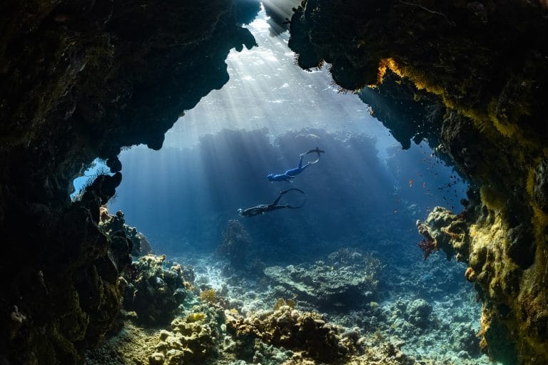 Plongée sous-marine à Tenerife : les meilleurs spots pour tous les niveaux