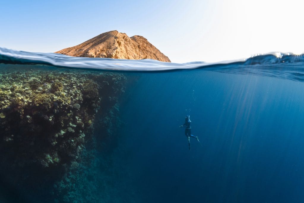 Plongée sous-marine à Tenerife