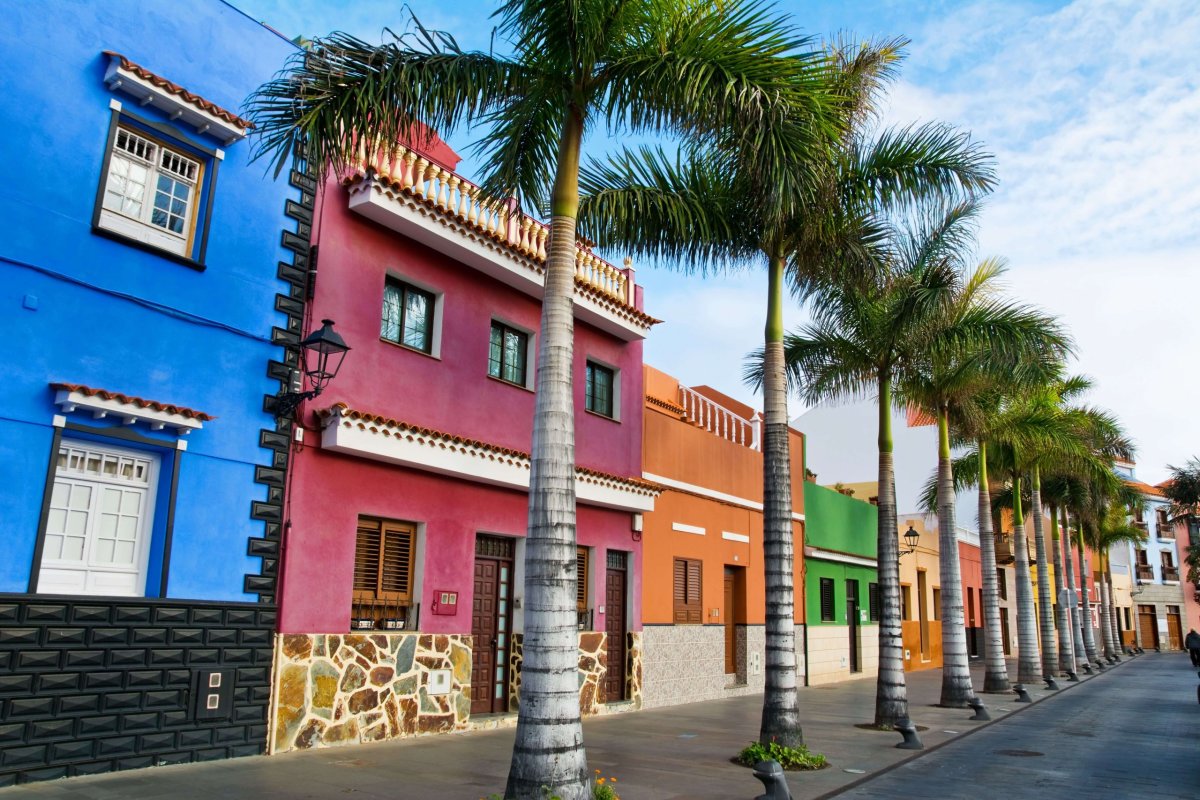 Rues bordées de palmiers et façades colorées à Puerto de la Cruz