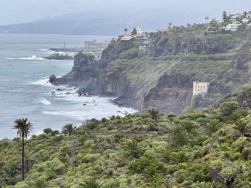 Vue générale sur la côte de Los Realejos, végétation tropicale et océan, Rambla de Castro