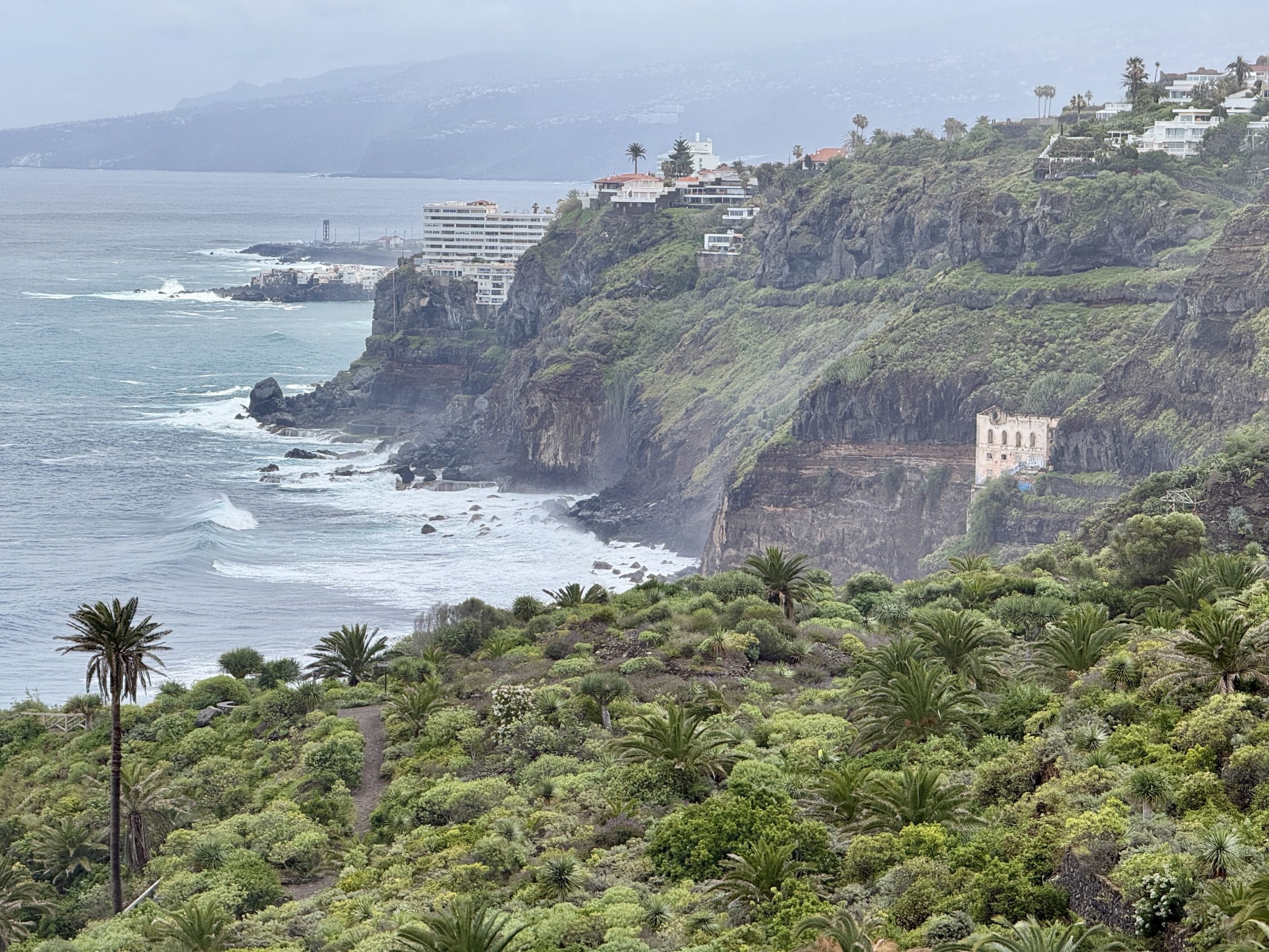 Vue sur la côte, palmiers et océan à Rambla de Castro, Los Realejos, Tenerife