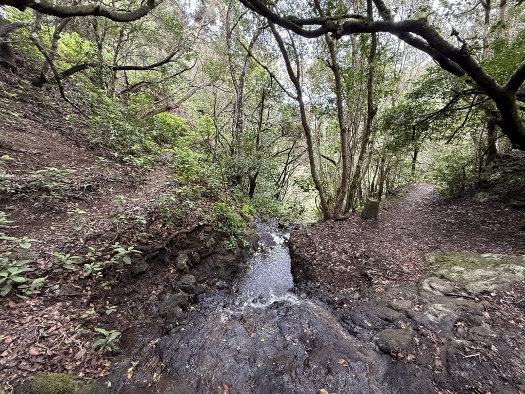 Petit ruisseau sur le sentier du Bosque Encantado, Anaga