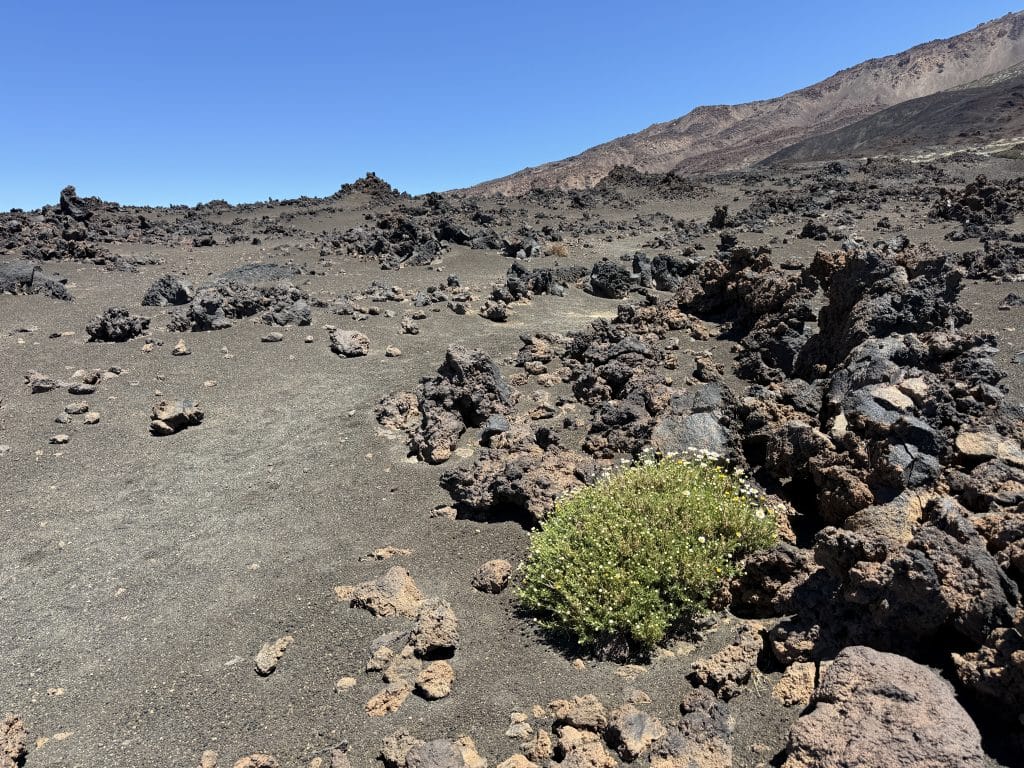 Terrain pierreux et volcanique sur le sentier de Samara