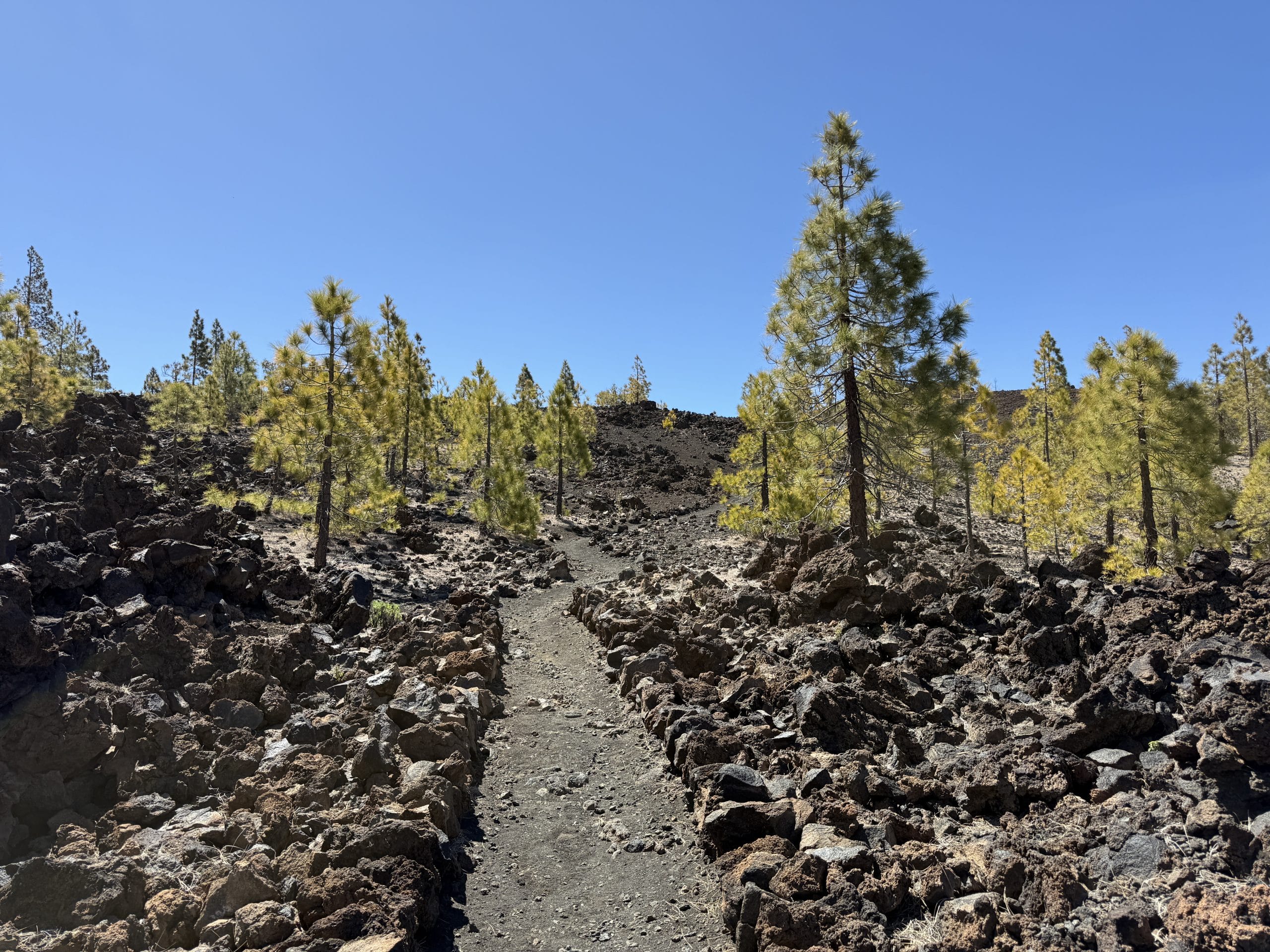 Sentier volcanique bordé de roches noires près du Teide