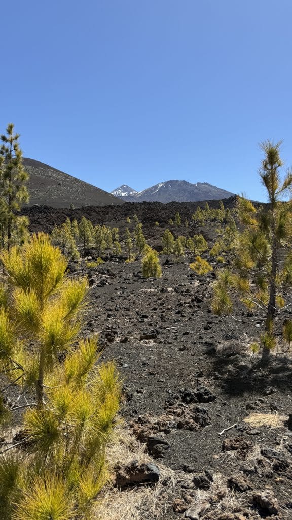 Vue sur le Teide et le Pico Viejo depuis le sentier de Samara