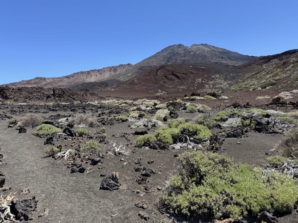 La Montaña de la Cruz de Tea, ancien édifice volcanique du secteur de Samara