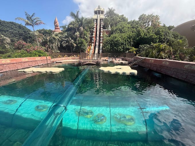 Le Tower of Power, toboggan emblématique de Siam Park à Tenerife