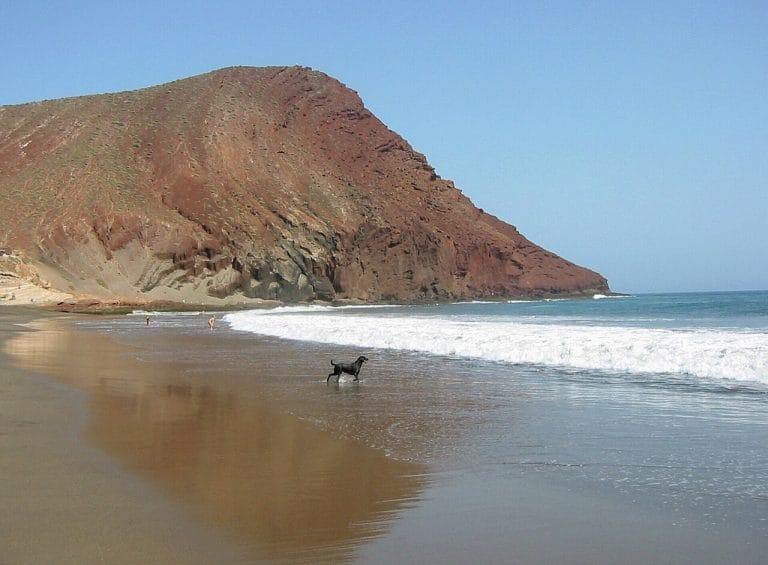 La Tejita, plage sauvage au pied de la Montana Roja pres d el Medano