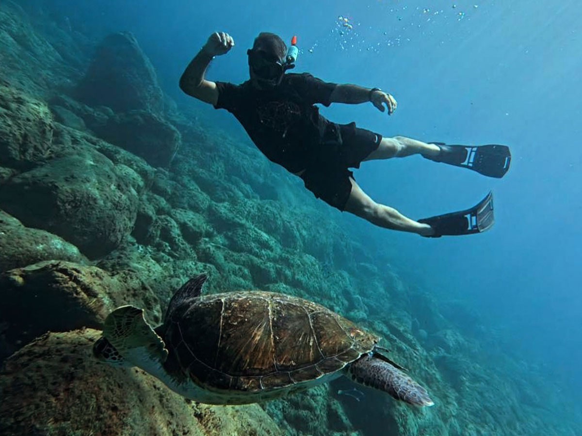 Plongeur en apnée avec palmes au-dessus d'une tortue verte sur le fond rocheux d'El Bufadero, Palm-Mar